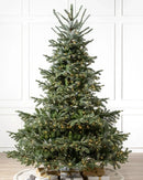 Árvore de Natal European Fir com Galhos Articulados, Suporte Metálico e Micro LEDs Embutidos